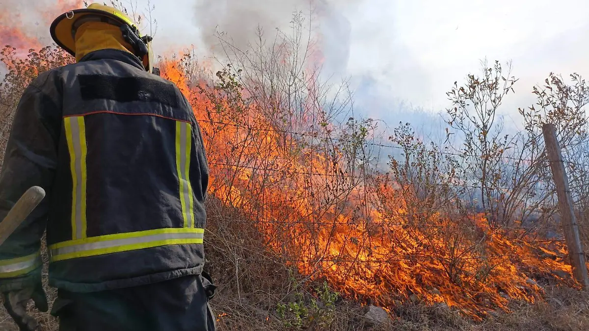 Fotos Protección Civil y Bomberos de Zapopan